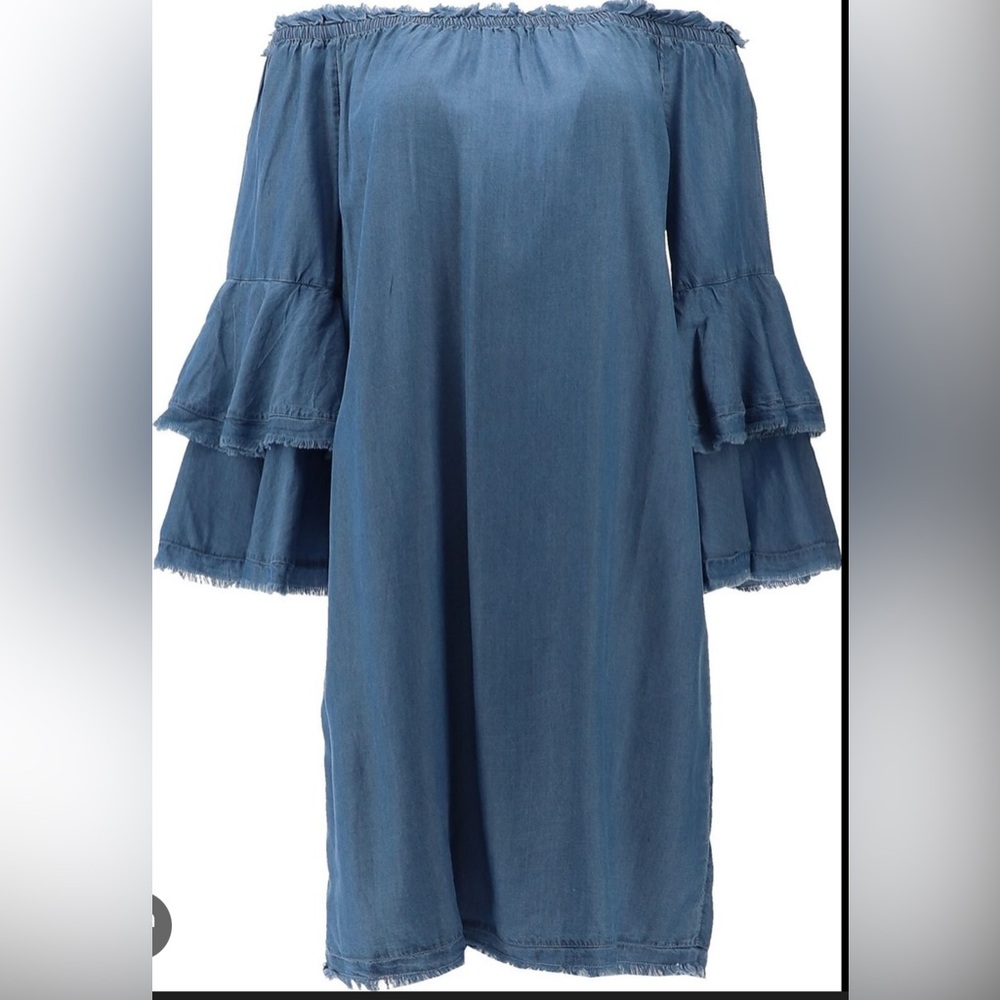 Colleen Lopez Denim Blue Long Sleeve Dress